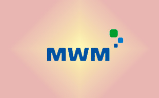 ✓ MWM �����������������������������������������������������������������  